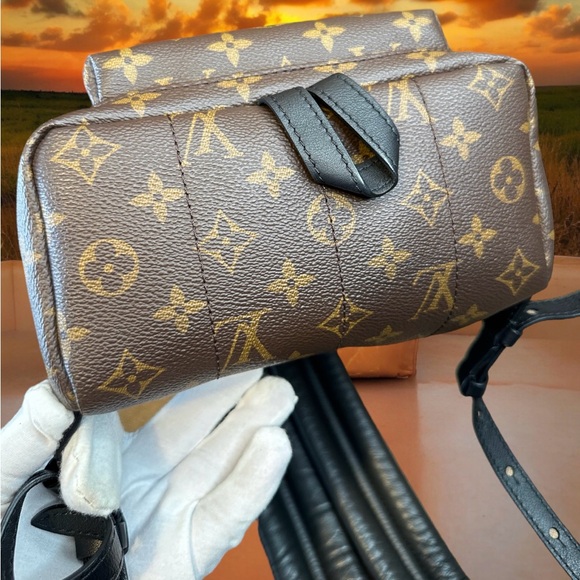 Louis Vuitton Monogram Palm Springs Backpack PM - Picture 6 of 17